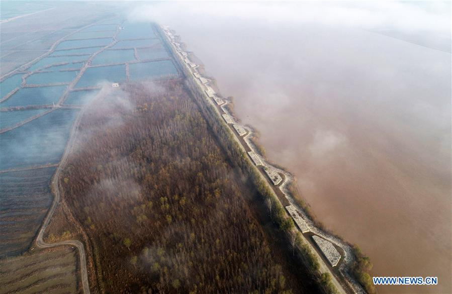 CHINA-SHAANXI-DALI COUNTY-YELLOW RIVER WETLAND-SCENERY (CN)