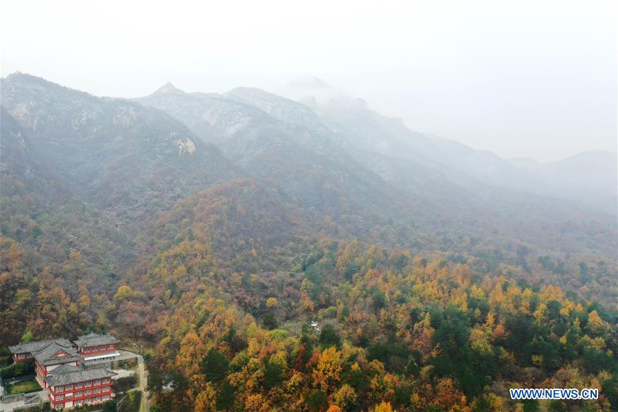 CHINA-HENAN-TONGBAI MOUNTAIN (CN)