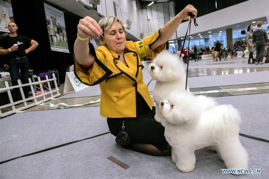 LITHUANIA-VILNIUS-DOG SHOW