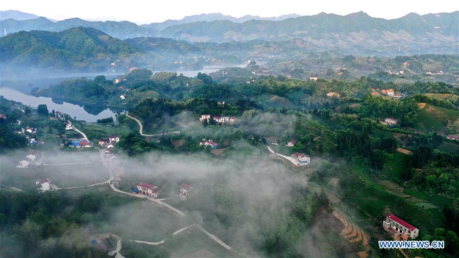 CHINA-ANHUI-LU'AN-TEA GARDEN-SCENERY (CN)