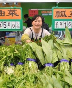 蘇州：舊菜場(chǎng)變身網(wǎng)紅市集