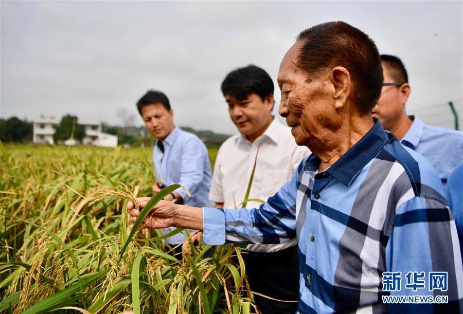 （新華視點(diǎn)·圖文互動(dòng)）（2）國家科技獎(jiǎng)3項(xiàng)授予“水稻科學(xué)家”，預(yù)示百姓飯碗將發(fā)生哪些革命？