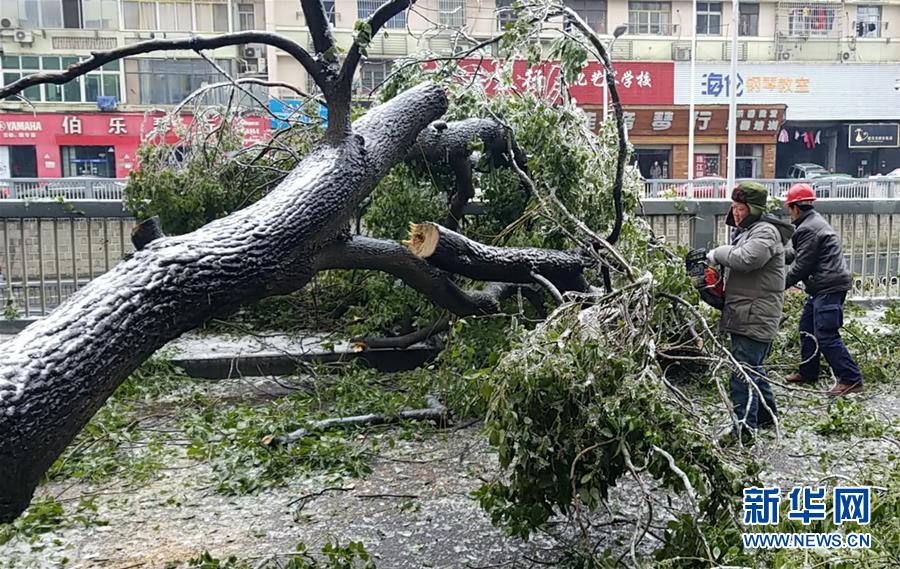 （新華全媒頭條）（7）雨雪冰凍中，他們奮力前行——基層黨員干群抗擊冰雪災(zāi)害紀(jì)實(shí)