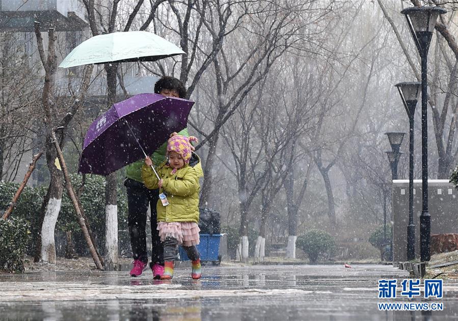 （環(huán)境）（14）北京迎來春雪