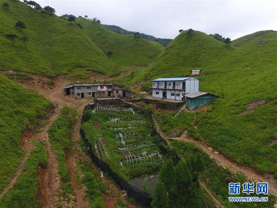 （新華全媒頭條·圖文互動）（3）一個人，一座山——劉真茂的生命守望