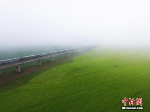 資料圖：動車組穿越雨霧中的油菜花海宛若穿越時空。 楊艷敏 攝