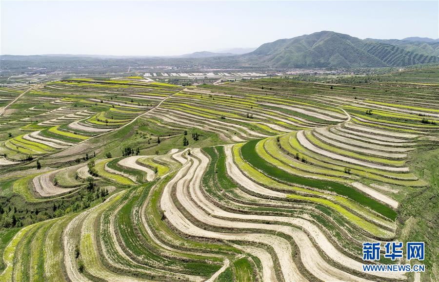 （新華全媒頭條·壯麗70年·奮斗新時代·圖文互動）（6）中國減貧的西海固報(bào)告