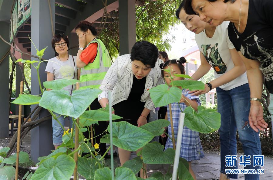 （新華全媒頭條·圖文互動(dòng)）（4）上海“新時(shí)尚”：用“繡花功”解垃圾分類“大難題”