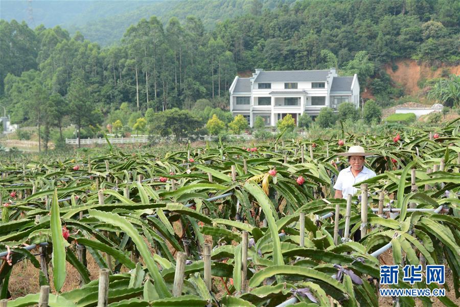 （在習(xí)近平新時(shí)代中國(guó)特色社會(huì)主義思想指引下——新時(shí)代新作為新篇章·總書記關(guān)心的百姓身邊事·圖文互動(dòng)）（6）大污染變身“大寶藏”：治理畜禽糞污，他們這樣干！