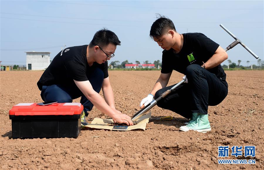 （在習(xí)近平新時(shí)代中國特色社會主義思想指引下——新時(shí)代新作為新篇章·總書記關(guān)心的百姓身邊事·圖文互動）（6）“農(nóng)”字頭照樣“大”作為——豐收時(shí)節(jié)看涉農(nóng)高校人才在希望的田野