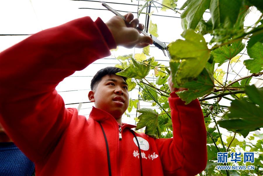 （在習(xí)近平新時(shí)代中國特色社會主義思想指引下——新時(shí)代新作為新篇章·總書記關(guān)心的百姓身邊事·圖文互動）（1）“農(nóng)”字頭照樣“大”作為——豐收時(shí)節(jié)看涉農(nóng)高校人才在希望的田野