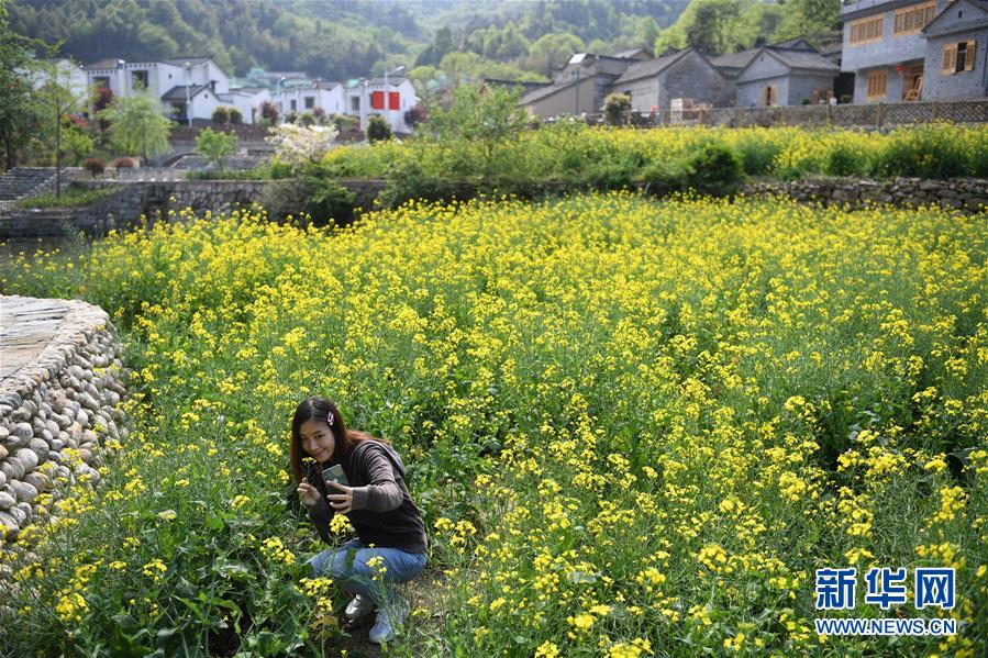 （新華全媒頭條·圖文互動）（10）紅土地上的“綠色減貧”決戰(zhàn)——大別山“將軍縣”金寨脫貧紀(jì)實(shí)