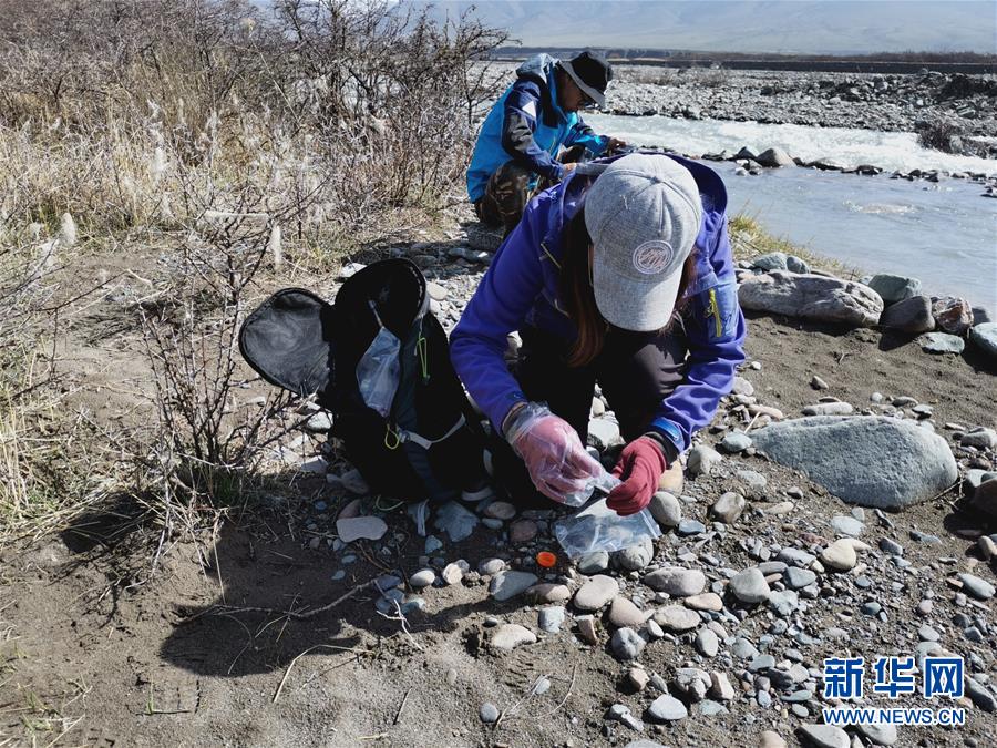 （圖文互動）（2）祁連山國家公園首個荒漠貓專項調(diào)查取得階段性成果