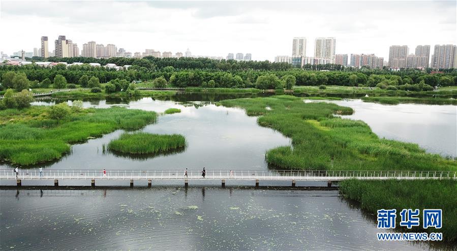 （走向我們的小康生活·圖文互動(dòng)）（1）水清、地綠、空氣新——最北省份黑龍江繪就生態(tài)治理新畫(huà)卷