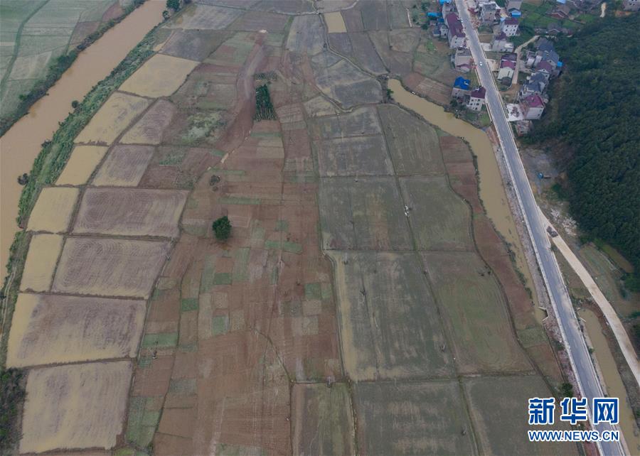 （防汛抗洪）（3）江西鄱陽遭遇暴雨