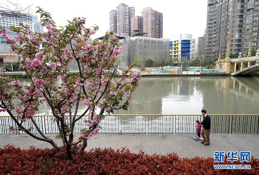 （新華全媒頭條·走向我們的小康生活·圖文互動(dòng)）（12）城市，讓人民生活更美好