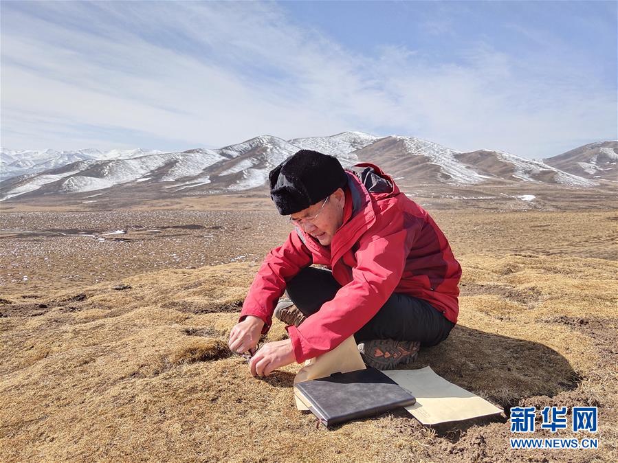 （新時代擔當作為典型·圖文互動）（2）草地生態(tài)專家趙新全：情深不舍三江源