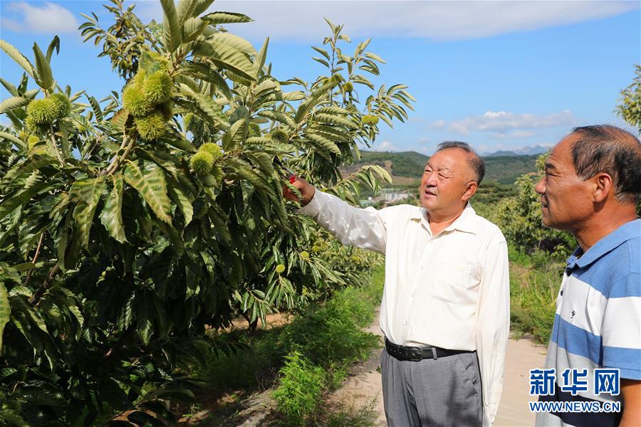 （新華全媒頭條·走向我們的小康生活·圖文互動(dòng)）（11）長(zhǎng)城腳下，小康村串成“珍珠鏈”