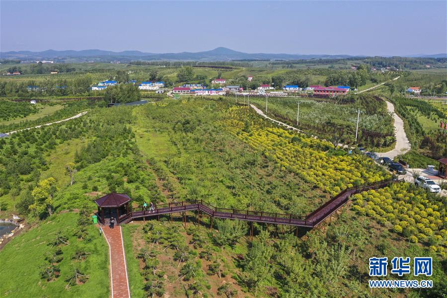 （新華全媒頭條·走向我們的小康生活·圖文互動）（16）黑土地上是我家——在吉林，一瞥中國東北鄉(xiāng)村美麗未來