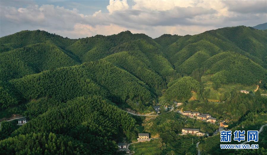 （新華全媒頭條·走向我們的小康生活·圖文互動）（2）神山村“神奇”何在？——井岡山深處覓答案