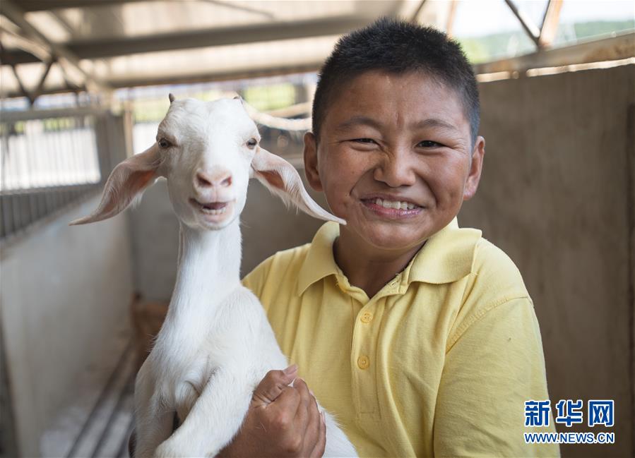 （新華全媒頭條·走向我們的小康生活·圖文互動）（5）特殊之年，荊楚大地書寫不平凡的答卷