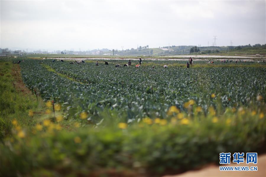 （新華全媒頭條·走向我們的小康生活·決戰(zhàn)決勝脫貧攻堅·圖文互動）（4）千年之渴今朝解——貴州貧困群眾實現“吃水不愁”