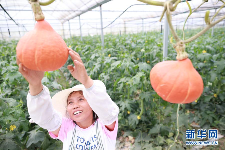 （新華全媒頭條·走向我們的小康生活·決戰(zhàn)決勝脫貧攻堅·圖文互動）（7）千年之渴今朝解——貴州貧困群眾實現“吃水不愁”