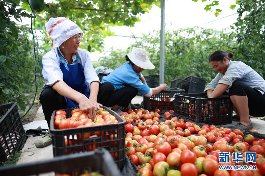 （新華全媒頭條·走向我們的小康生活·決戰(zhàn)決勝脫貧攻堅·圖文互動）（8）千年之渴今朝解——貴州貧困群眾實現“吃水不愁”