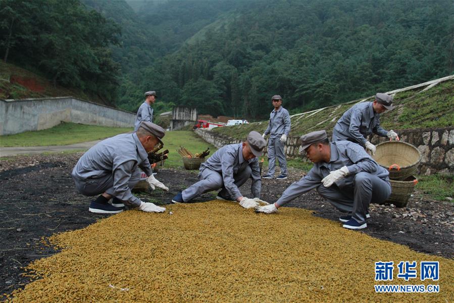 （在習(xí)近平強(qiáng)軍思想指引下·我們?cè)趹?zhàn)位報(bào)告·圖文互動(dòng)）（3）牢記統(tǒng)帥囑托  做刀尖上的舞者——記聯(lián)勤保障部隊(duì)某報(bào)廢武器彈藥銷(xiāo)毀站參謀長(zhǎng)陳雪禮