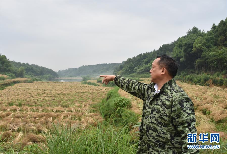 （代表委員履職·圖文互動(dòng)）（2）“我是農(nóng)民代表，始終關(guān)注農(nóng)村”——全國人大代表沈昌健的履職故事