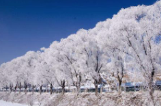 全國初雪時間表出爐 看看你離初雪還有多遠？