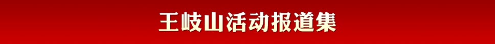 王岐山活動(dòng)報(bào)道集