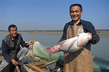 鄱陽湖：人歡魚躍冬捕忙