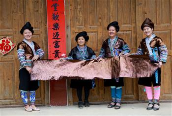 廣西融水：傳統(tǒng)亮布展新顏