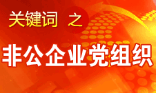 王京清：非公企業(yè)建立黨組織服務(wù)企業(yè)發(fā)展、服務(wù)員工