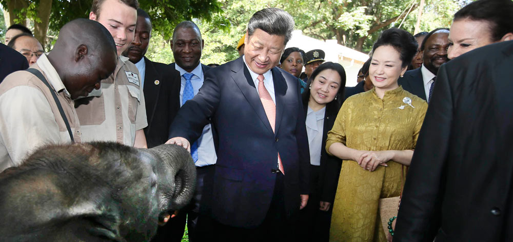 習近平考察津巴布韋野生動物救助基地