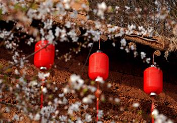 大山里的“愛和小鎮(zhèn)”：當鄉(xiāng)村遇上藝術